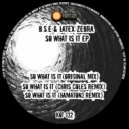 B.S.E & Latex Zebra - So What Is It