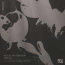 Niclas Erlandsson - Irrbloss (Riotbot Remix)