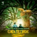 Red Pulse & Shaker Makers - Gratitude (Original Mix)