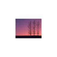 Mindfulness Healing Sleep BGM Project - Tolstoy and sleep