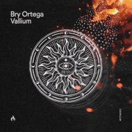 Bry Ortega - Mirror