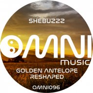 Shebuzzz - Shore of a Lonely Dream