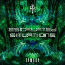 Tamoga - Escalated Situations (Original Mix)