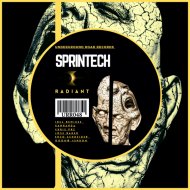 Sprintech - Radiant