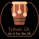 Tribute SA - Do It For Me (Original Mix)