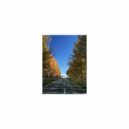Mindfulness Healing Sleep BGM Project - Autumn and Insomnia (Sleep BGM)