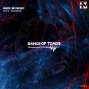 Hannes Matthiessen - Rho 17 (Bassy Jay Remix)