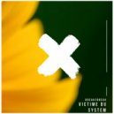 Break2Break - Victime Du System (Original Mix)