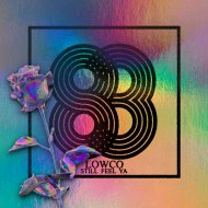 Lowco - Still Feel Ya