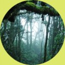 Diego Rva - Jungle