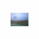 Mindfulness Healing Sleep BGM Project - Degas & Sensitivity (Sleep BGM)