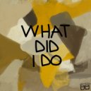 Dor Dekel, IDA fLO - What Did I Do (Original Mix)