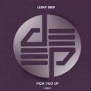 Lesny Deep - Pick You Up (Original Mix)