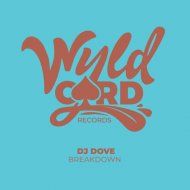 DJ Dove - Breakdown