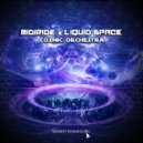 Midiride, Liquid Space - Cosmic Orchestra (Original Mix)