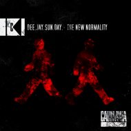 Dee.Jay.Sun.Day. - The New Normality