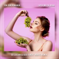Ion din Romania - Lasa-ma sa beau