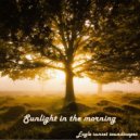 Eagle sunset soundscapes - Ferris Wheel (Original Mix)