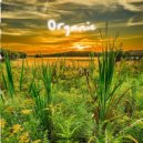 Dj limp - Organic ()