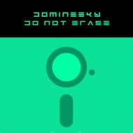 Domineeky - Flute Bizness
