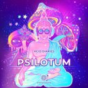 Psilotum - Afterglow Insights (Original Mix)