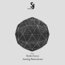 Rode Zayas - Analog Sensations