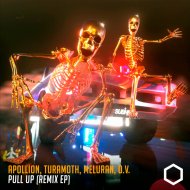 Collixion - Pull Up