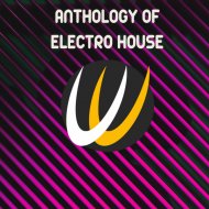 V.S.D. Project - Electroshock