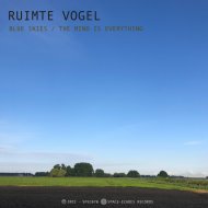 Ruimte Vogel - Blue Skies