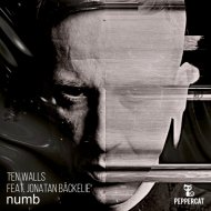 Ten Walls - Mokujin
