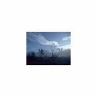 Mindfulness Healing Sleep BGM Project - Walking and Rest