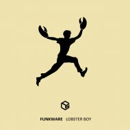 Funkware - Waiting For A Wonder