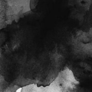 Poladroïd - The Ballad Of Jurgen Conings