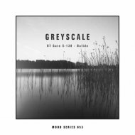 BT Gate X-138 - Tract 24