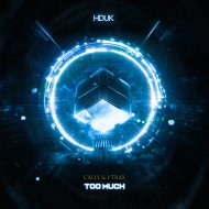 Cally & J-Trax - Too Much