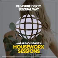 Pleasure Disco - Sensual Way