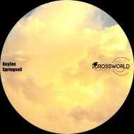 KeyZee - Springseil