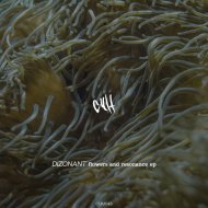 Dizonant - Naka