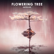 Kaffir Lime - Flowering tree
