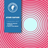 Atari Safari - Miami In The Sky At Night