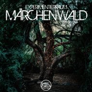 ExperimentierRaum - Kulturschock