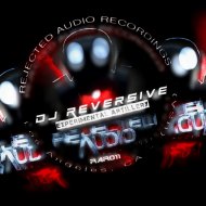 DJ Reversive - Skallskadda