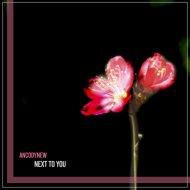 ANCODYNEW - Next To You