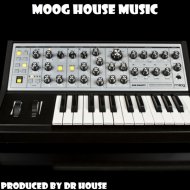 Dr. House - Moog House Music