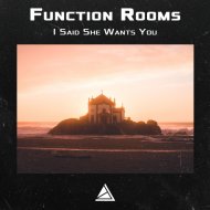 Function Rooms - I Said She Wants You