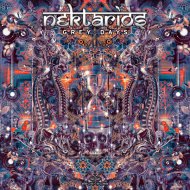 Nektarios - Ok I am awake, now what?