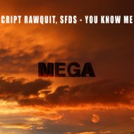 Cript Rawquit, SFDS - You Know Me