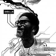 Roman Vuagnoux - Numbers