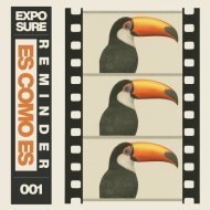 Reminder (BR) - Es Como Es