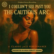 The Cautious Arc - I COULDN\'T SEE PAST YOU